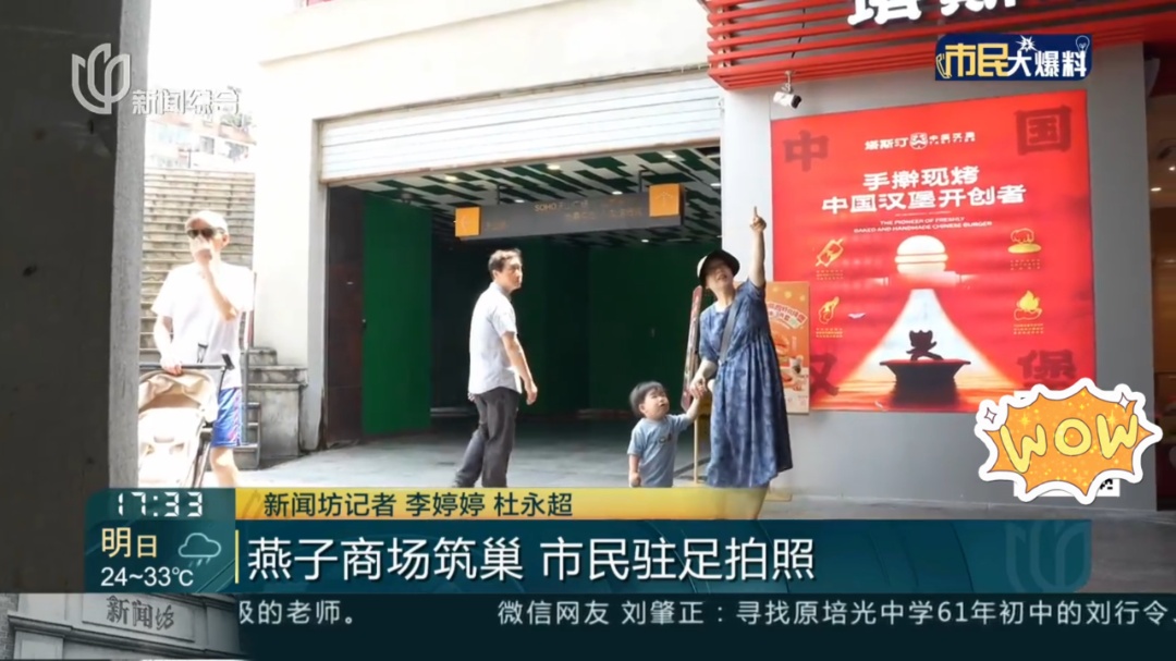 上海一商场惊现久违的小动物！众人抬头围观：像城市的一个逗号！