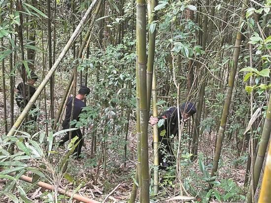 千人接力搜寻十三天 广东肇庆失联特殊男童深山获救