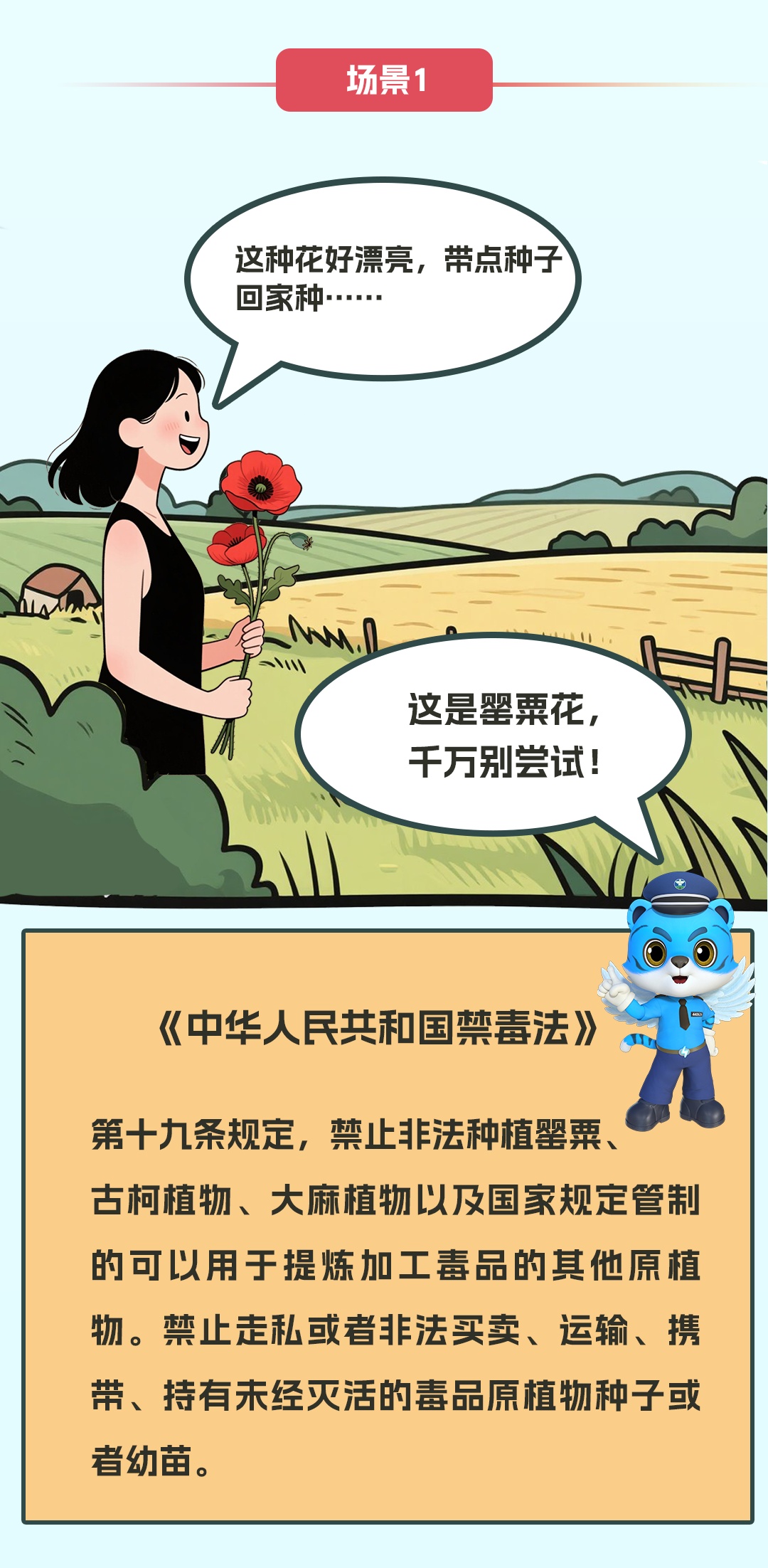 《中华人民共和国禁毒法》颁布施行18周年！这些知识你要知道→