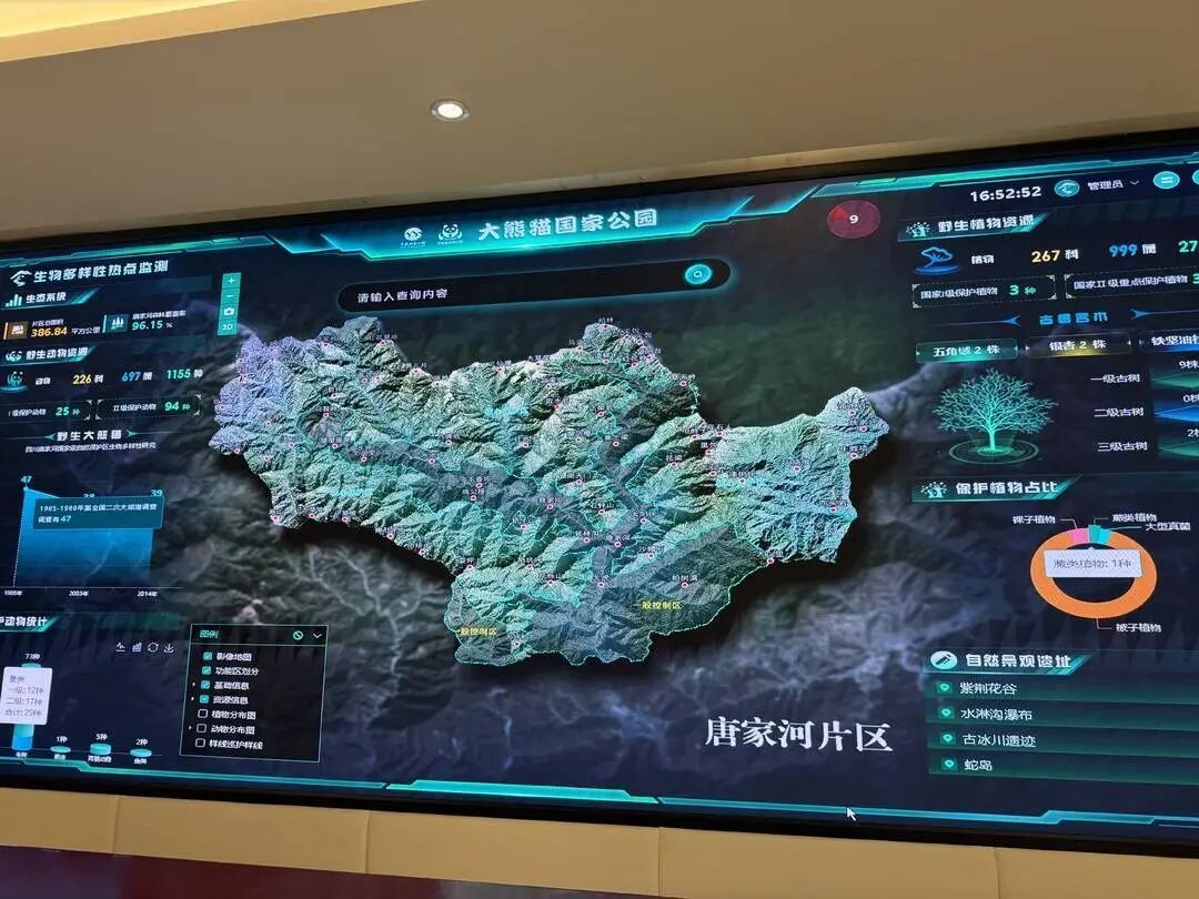 在国家公园，他们怎么和大熊猫做朋友？