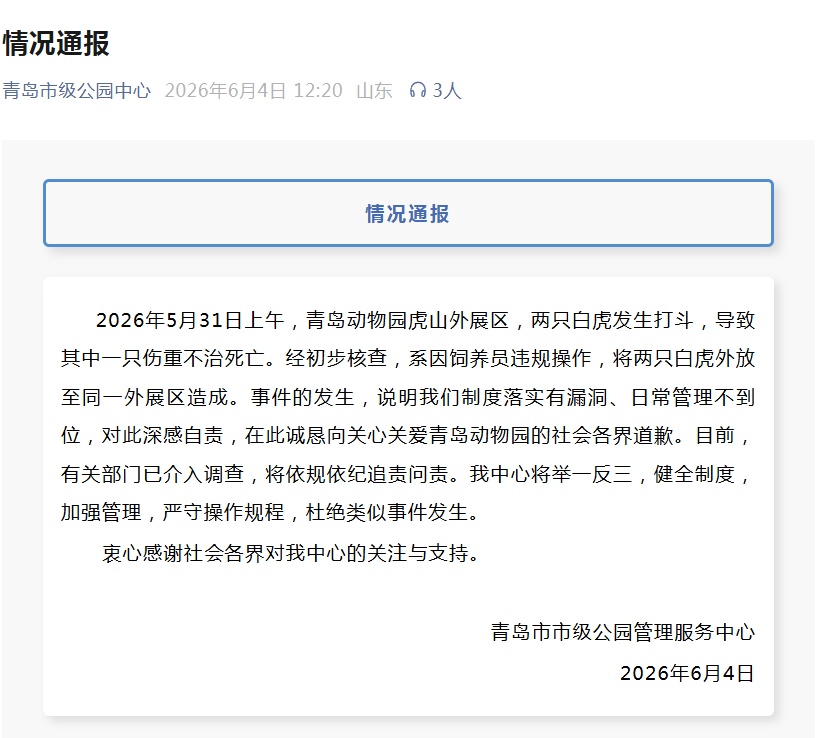 网红白虎“小孬”伤重不治死亡，青岛动物园致歉→