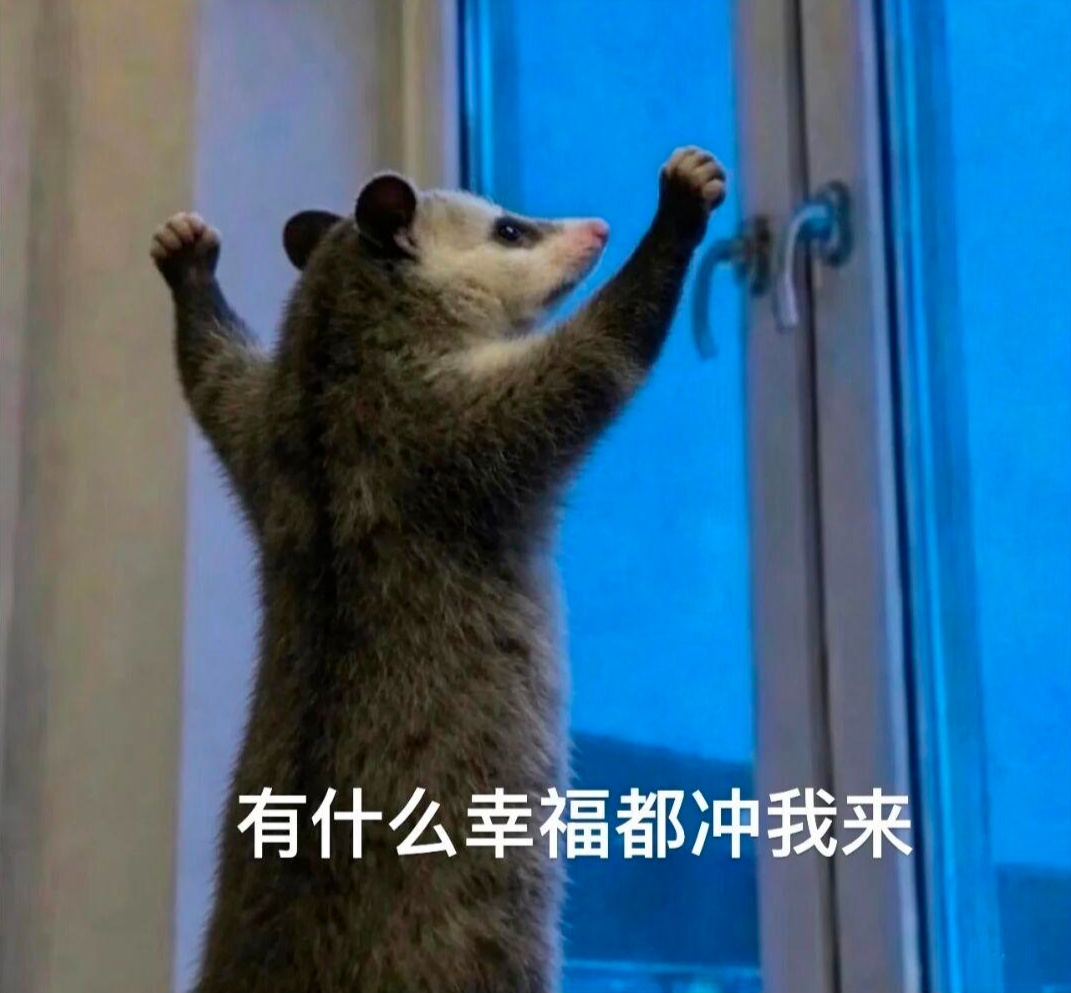 窗前背手的“负鼠”火了！专家：它真不是老鼠！