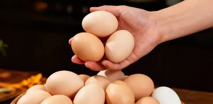 别再花冤枉钱！研究：这种食物才是真正的“脑黄金”，很多人白白丢掉
