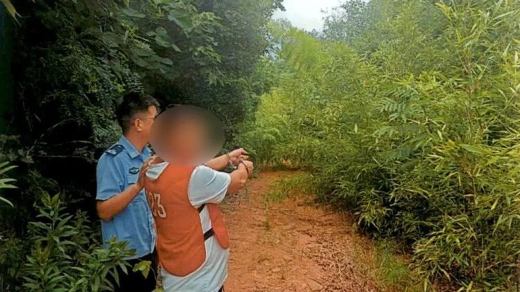 爱好酿成刑案！两名男子捕猎画眉鸟获刑，法院：单只野生画眉核定价值达5000元