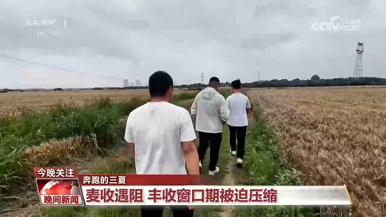 奔跑的三夏｜他们与雨赛跑 科技护航颗粒归仓