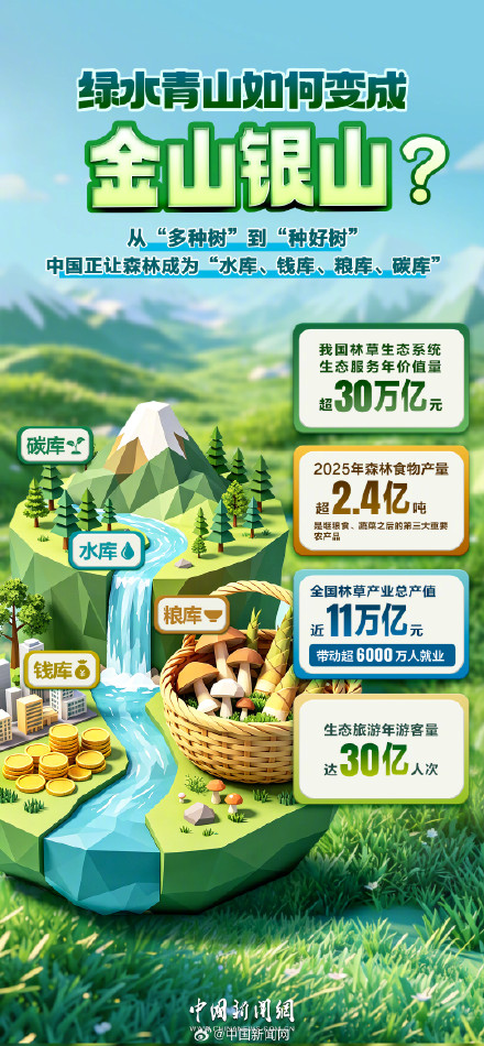 一组数字看懂中国绿化的全球贡献