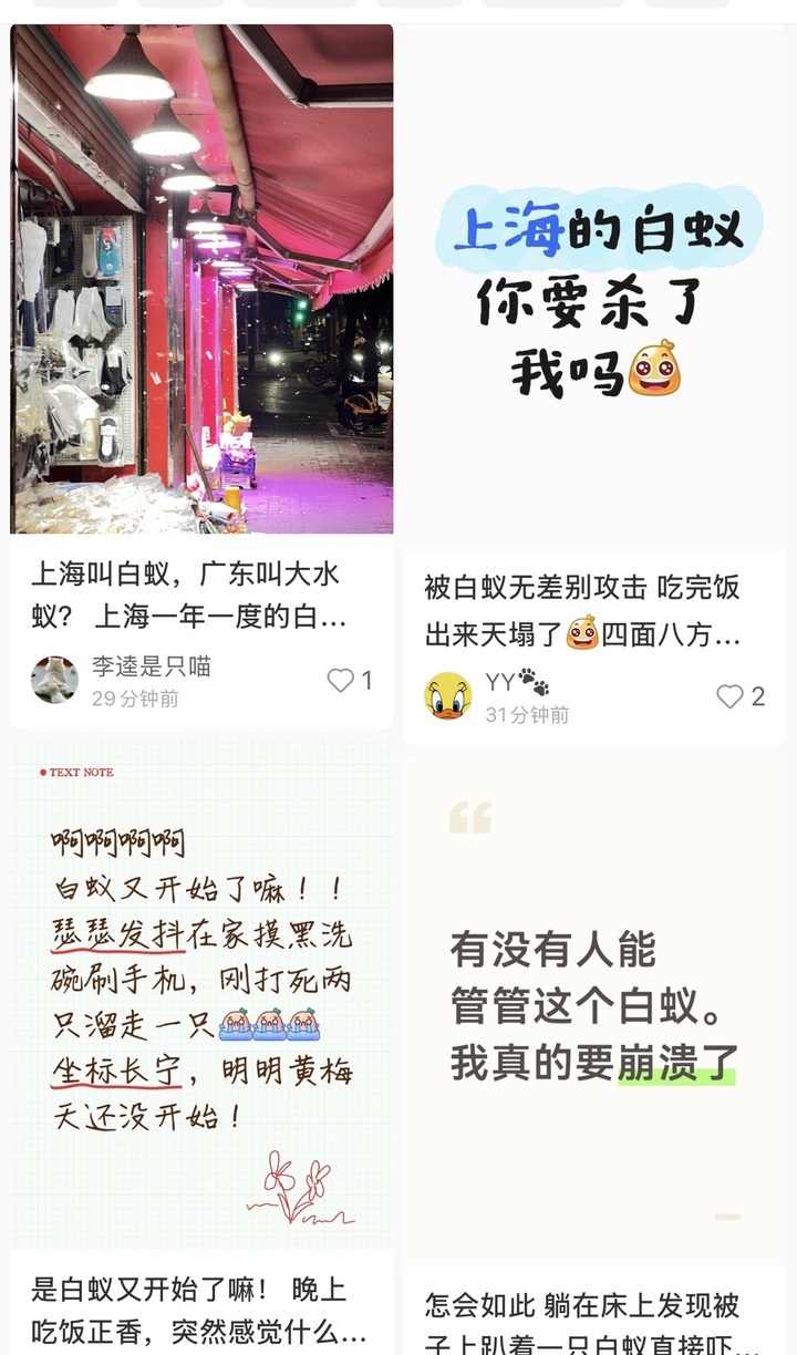 上海近期家白蚁集体出动？别慌，房屋白蚁防治全方位指南来了→