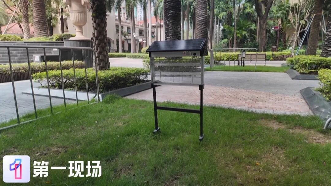 深圳动真格了！发现蚊虫隐患尽管“随手拍”，有人来处理！