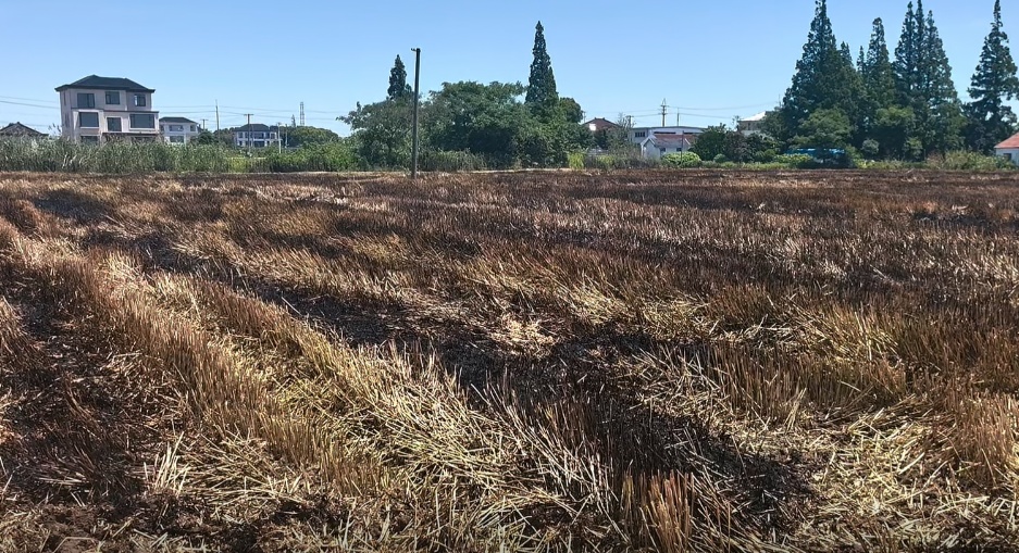 “潇洒”一弹指，500平米田地被烧焦！