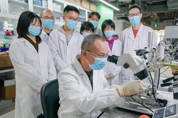 5·30丨最美科技工作者罗敏敏:在脑科学深处探寻“真相” 5·30丨最美科技工作者罗敏敏:在脑科学深处探寻“真相”