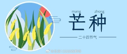 芒种节气到，养生看这里