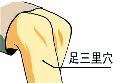 先辨体质再养生！9种体质特点、易发疾病和调养重点一次说清→