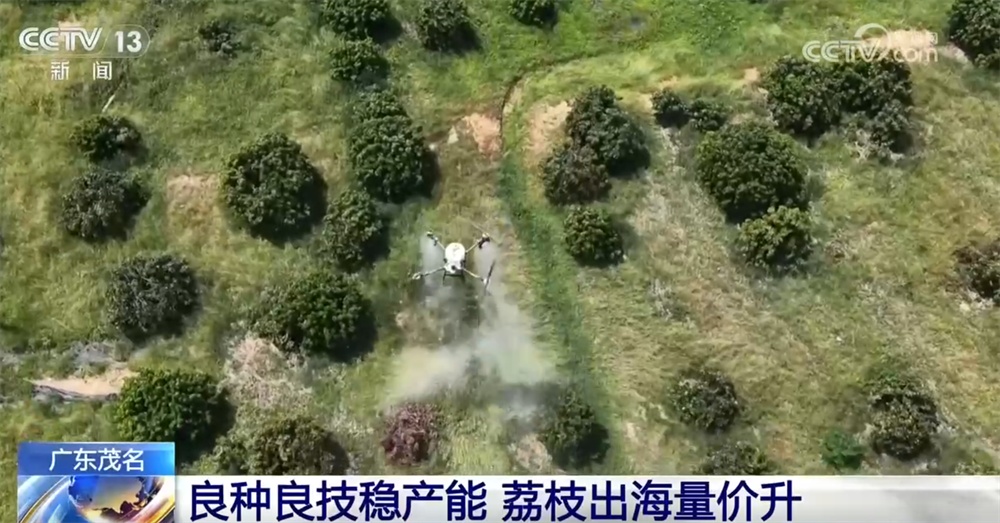 “良机+良种+良技”助力农业生产“提质加速” 科技赋能“奏响”田野丰收乐章