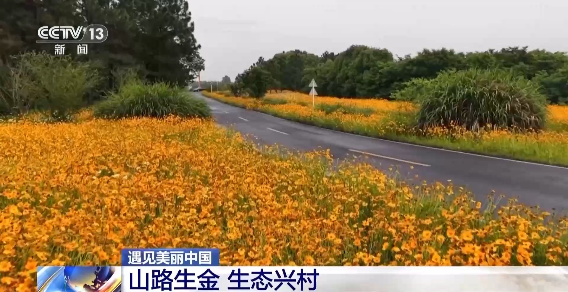 交通线+风景线+致富线 沿溧阳1号公路看美丽乡村建设