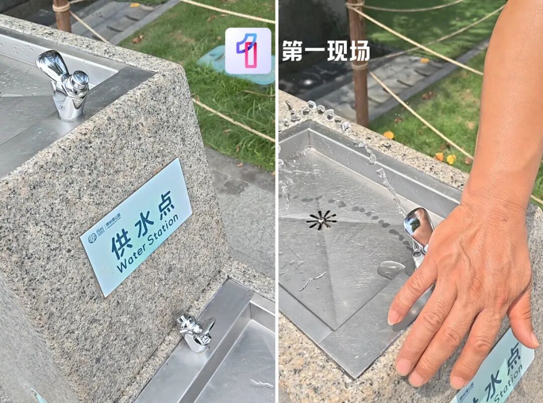 公园直饮水点被狗舔喝，还不止一处！管理方：已消杀、更换设备