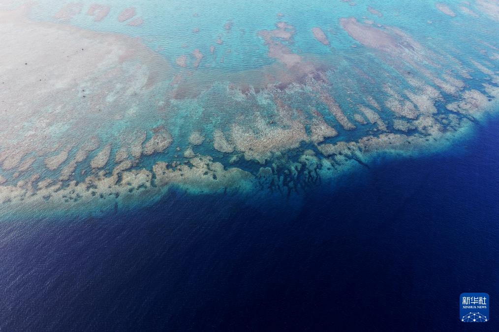 逐浪南海守蔚蓝
