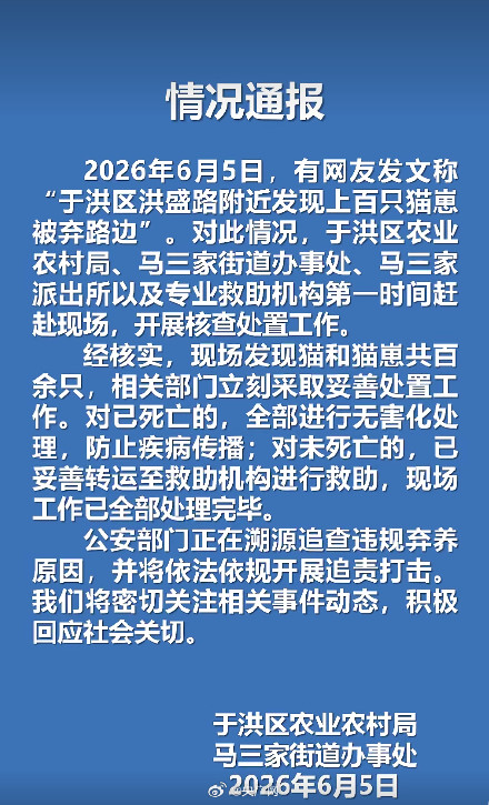 沈阳于洪通报上百只猫崽被弃路边