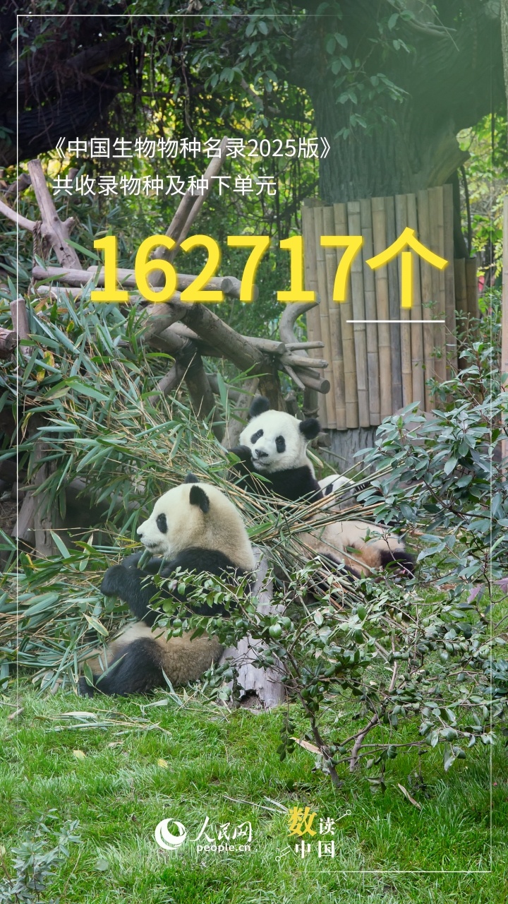 满目青绿！九图解锁大美中国新画卷