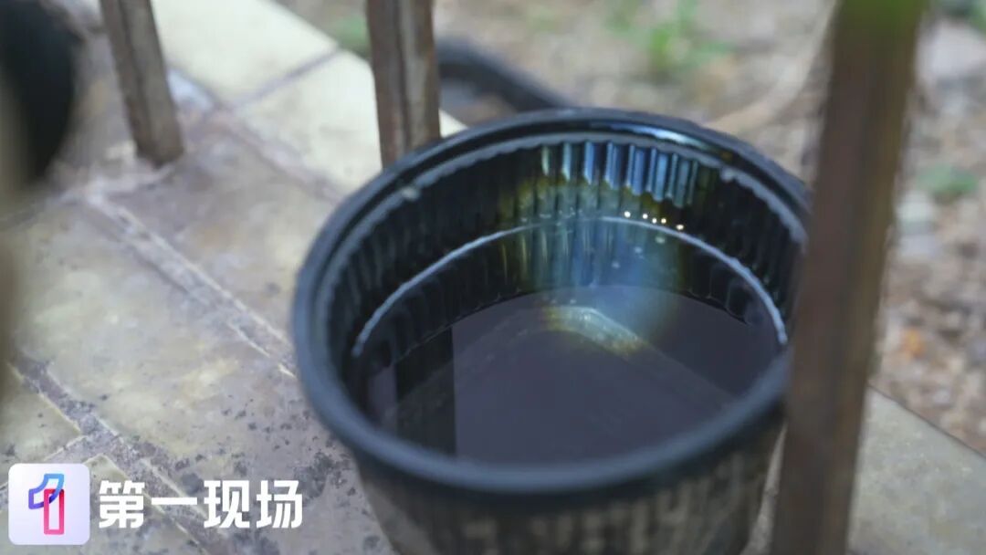 深圳动真格了！发现蚊虫隐患尽管“随手拍”，有人来处理！
