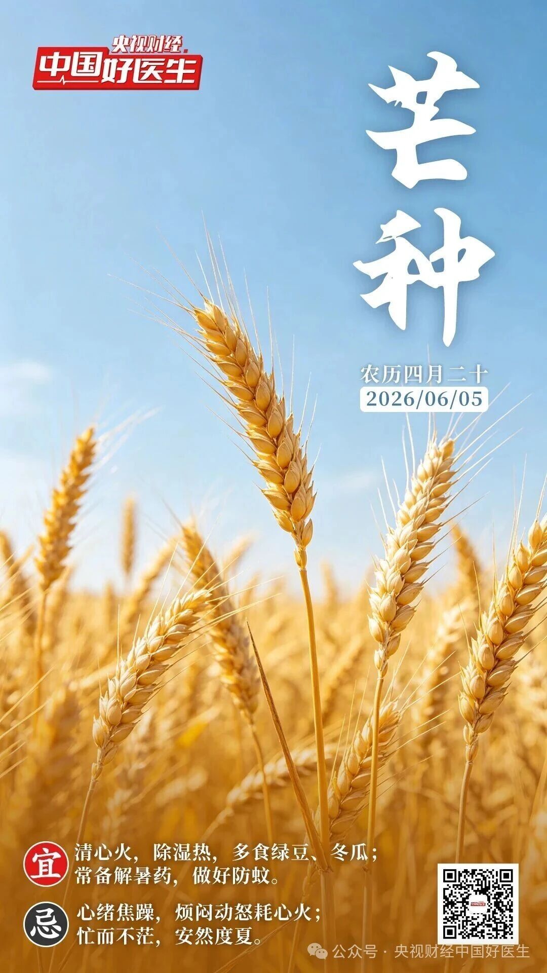 芒种又称“忙种”，究竟忙着种啥？