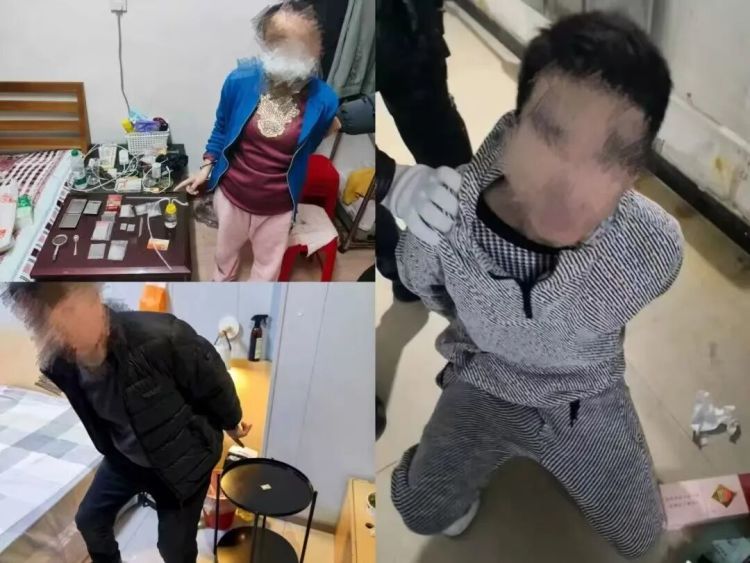 利用宠物狗笼跨多省运毒，32人被抓获！沈阳警方破获特大贩毒案