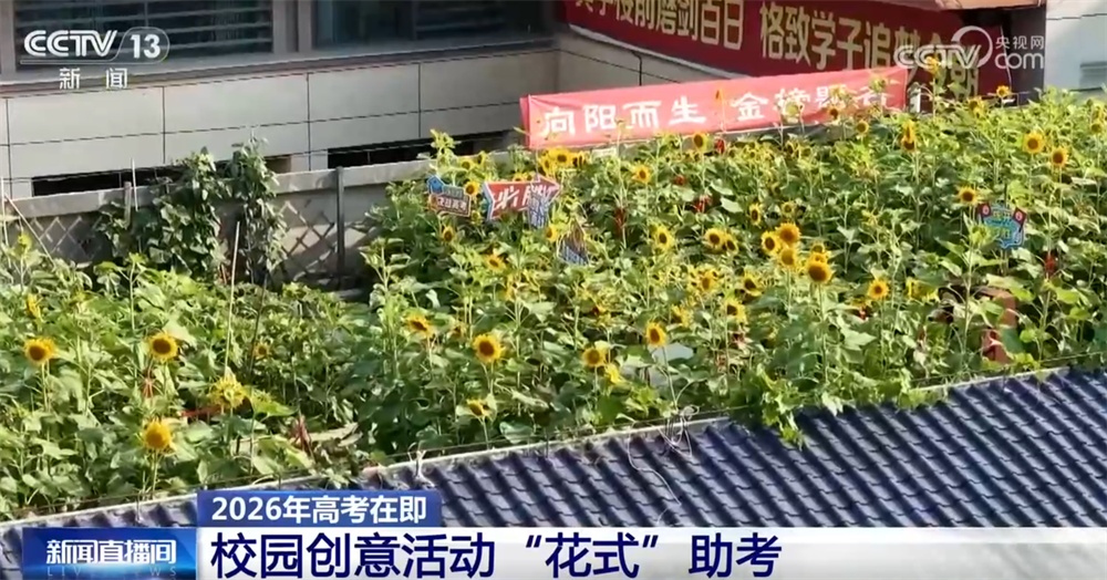 多地学校缤纷创意活动“花式”助考 为即将奔赴考场的高三学生加油鼓劲