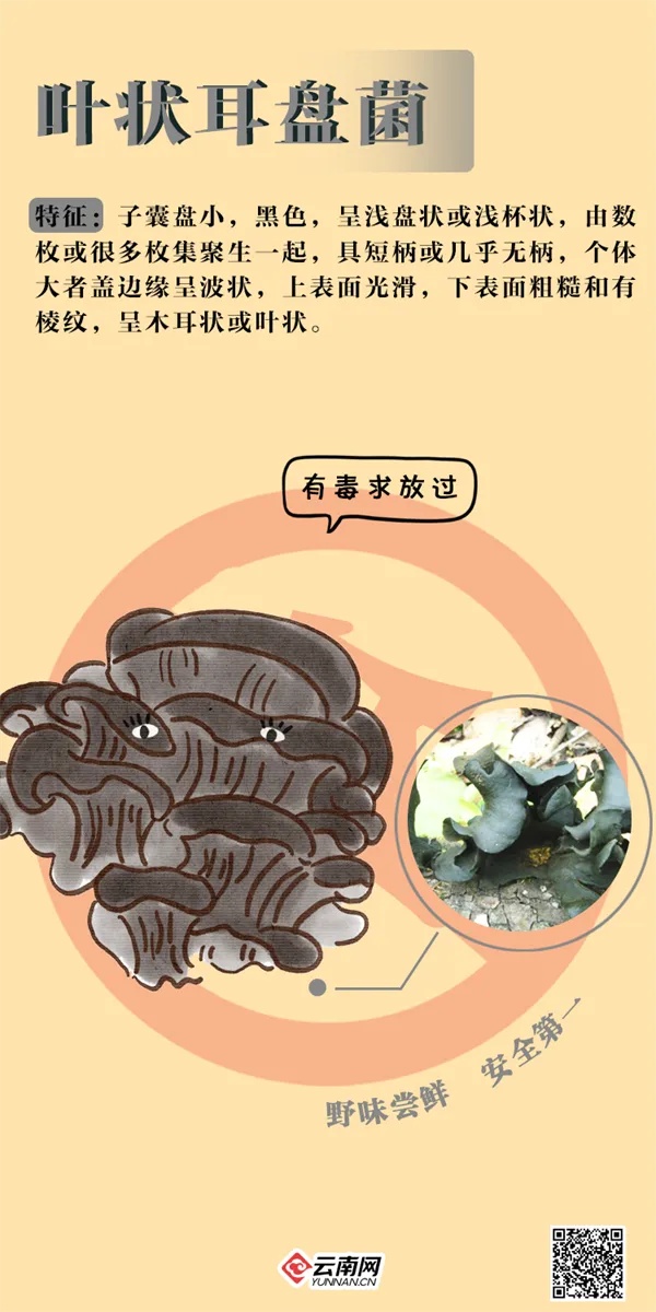 见小人、失忆、险坠楼！今夏多起菌中毒，医生也中招