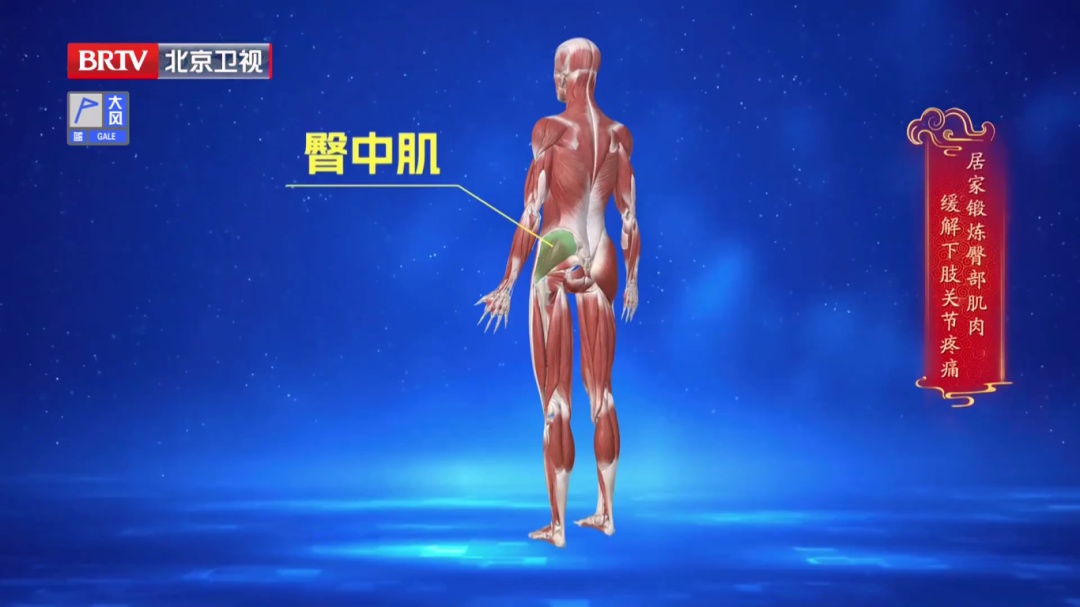 骨科医生提醒：这种椅子伤髋毁膝，劝你别坐，每天抬抬腿，膝盖不酸胀，走路更稳当