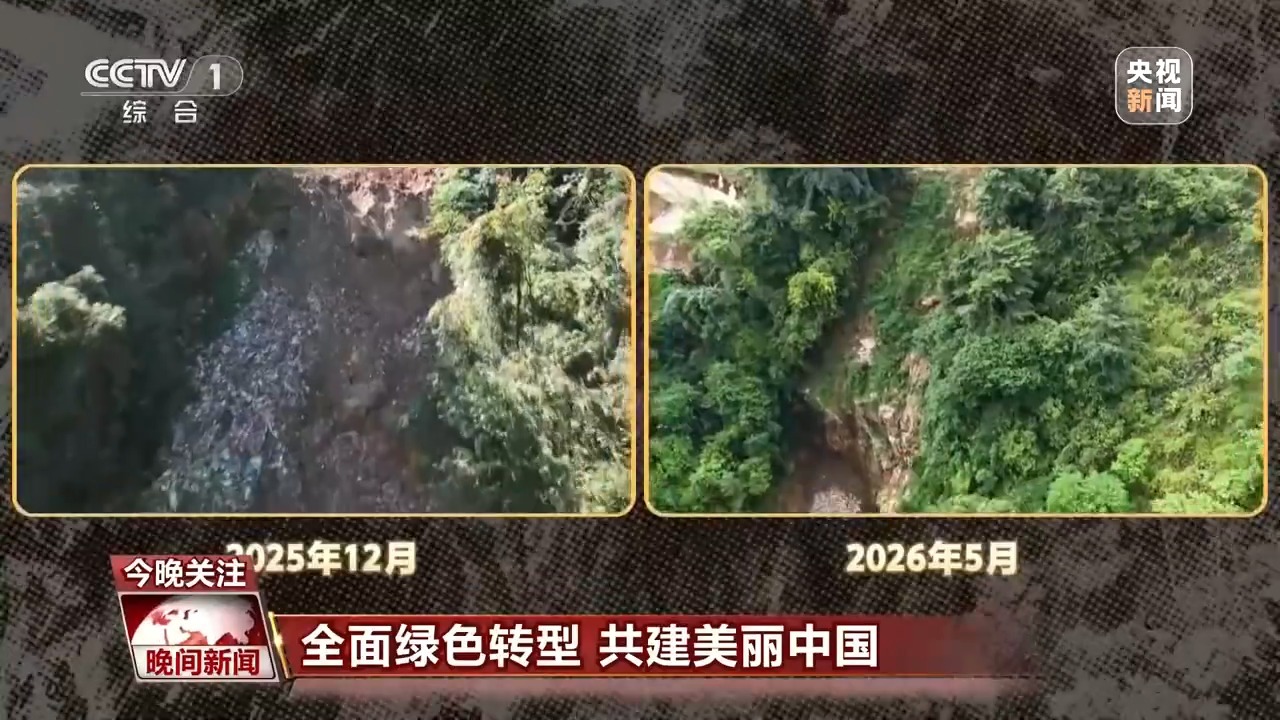 绿化好了 环境改善了 这些新举措让百姓生活更舒心