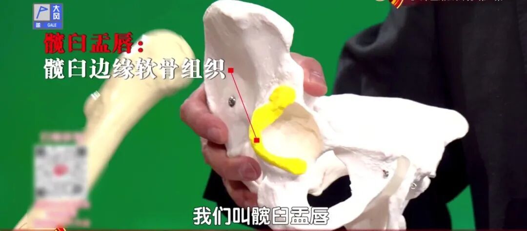 骨科医生提醒：这种椅子伤髋毁膝，劝你别坐，每天抬抬腿，膝盖不酸胀，走路更稳当