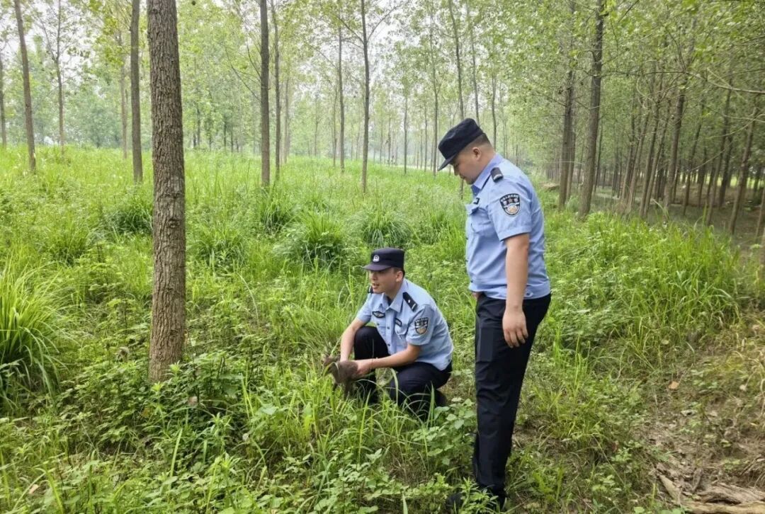 仙桃警民成功救护一只国家一级保护野生动物 仙桃警民成功救护一只国家一级保护野生动物