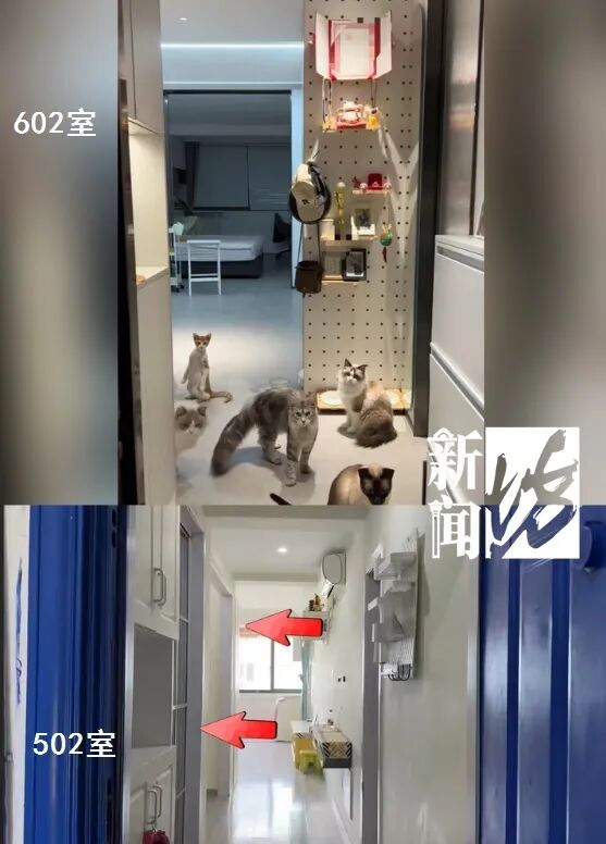 天塌了!上海男子200万买房,装修时傻眼…坚决要退房,被前业主怼"拎不清" 天塌了!上海男子200万买房,装修时傻眼…坚决要退房,被前业主怼"拎不清"