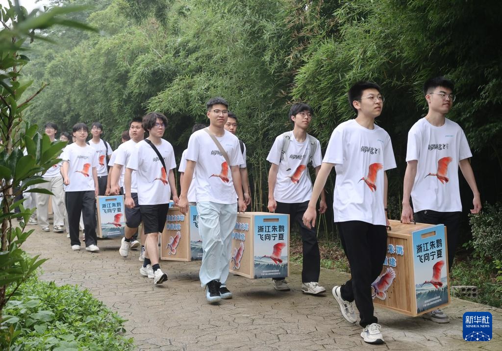 南方朱鹮启运西北