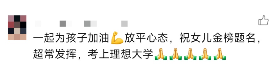 “这是奶奶半夜给你抄写的，说高考可能要考的……”