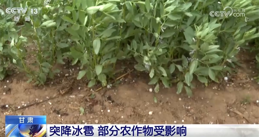 全国多地出现冰雹、沙尘天气 各部门积极应对降低不利影响