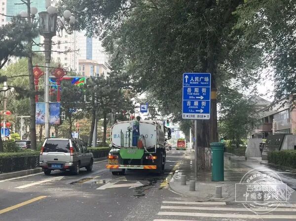 长春街头杨树为何打上“吊瓶”？