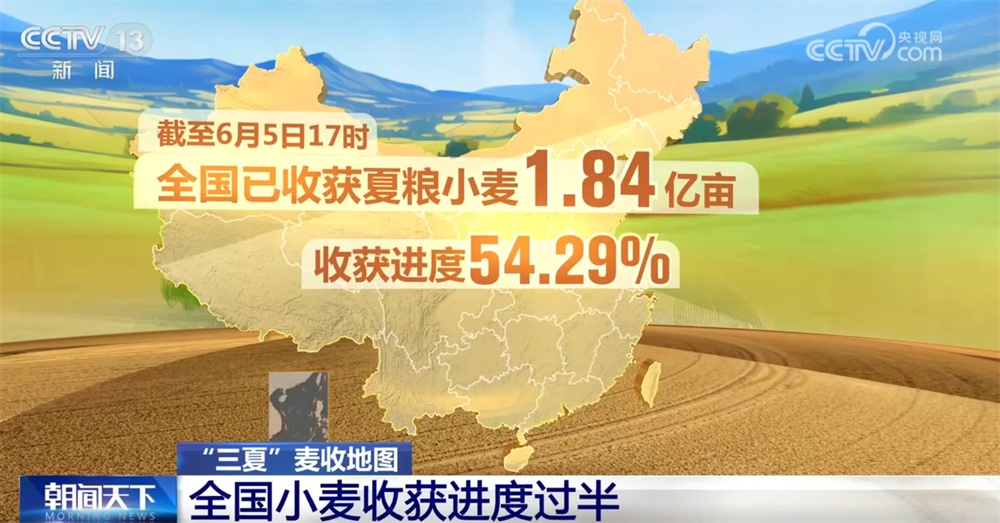 全国小麦收获进度已过半 多地抢收、烘干齐发力守护群众“粮袋子”