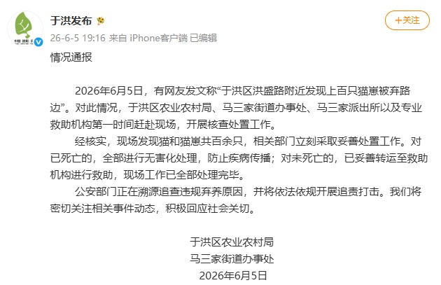 官方通报“上百只猫崽被弃路边”：将开展追责打击