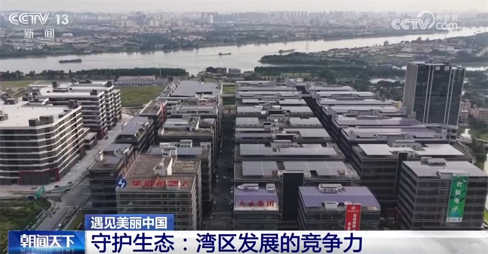粤港澳三地携手同心绘就发展新图景 书写美丽中国建设的湾区答卷