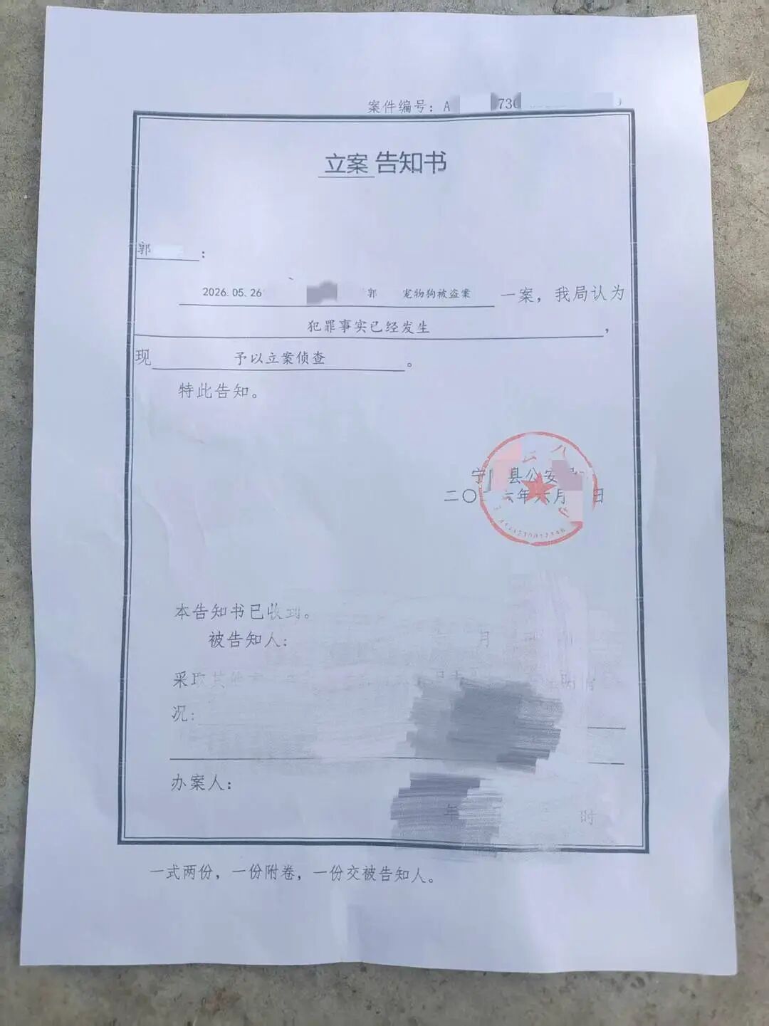 网红边牧“锄头”被偷后遭宰杀一事已立案,主人发声:会起诉,直到被告人被定罪量刑 网红边牧“锄头”被偷后遭宰杀一事已立案,主人发声:会起诉,直到被告人被定罪量刑