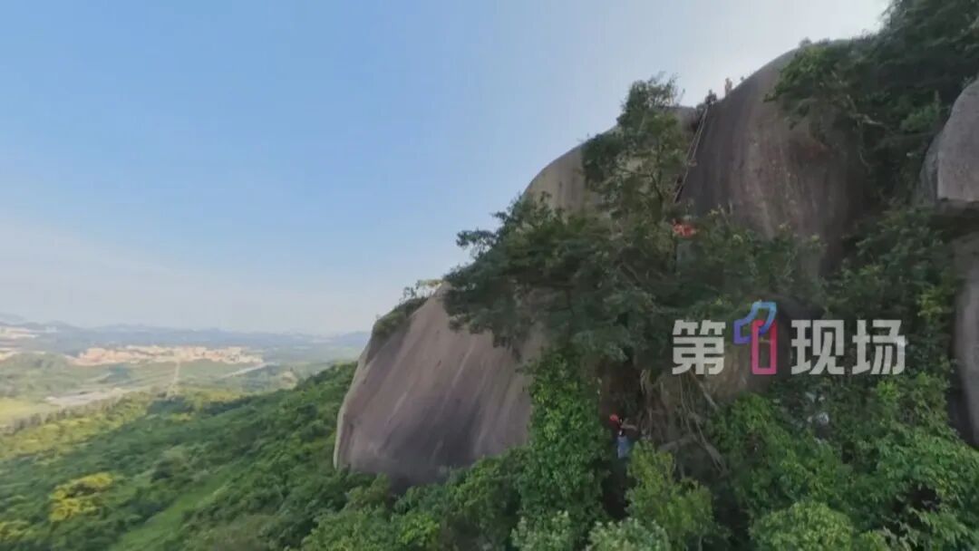 数十米高悬崖失足坠下,男子刚好被树杈接住!别再拿命爬野山! 数十米高悬崖失足坠下,男子刚好被树杈接住!别再拿命爬野山!