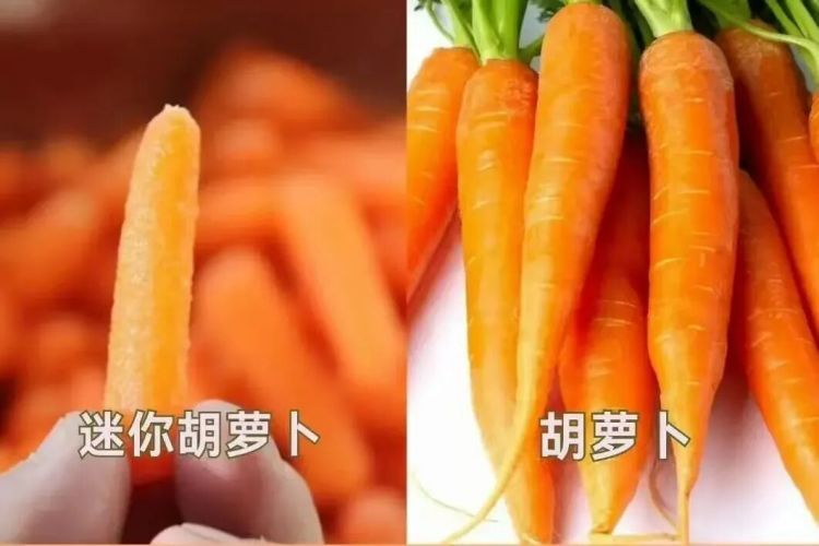 别再交智商税了!“水果骗局”被揭穿,这份避坑清单请收好 别再交智商税了!“水果骗局”被揭穿,这份避坑清单请收好