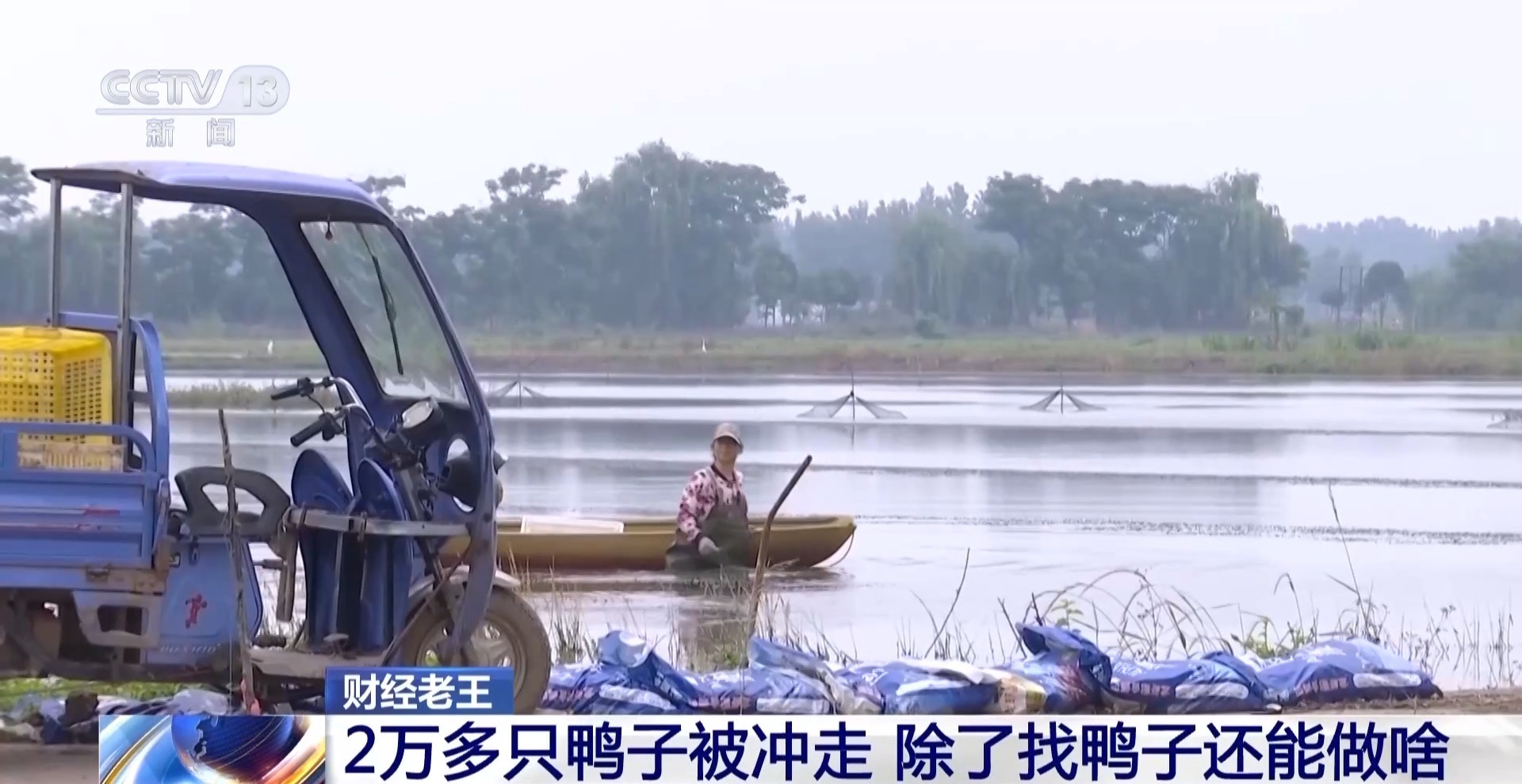 鸭子被冲走、虾塘被淹……农业保险如何帮农户“兜底”? 鸭子被冲走、虾塘被淹……农业保险如何帮农户“兜底”?
