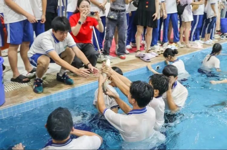 广东一中学举行摸鱼比赛,初三学生集体下水,抓到的鱼直接煮了吃 广东一中学举行摸鱼比赛,初三学生集体下水,抓到的鱼直接煮了吃