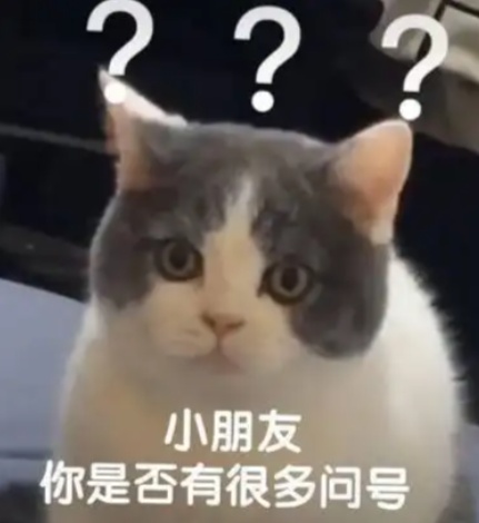 13岁女孩被卡后,同伴当场“诉苦”:这秋千有“前科”! 13岁女孩被卡后,同伴当场“诉苦”:这秋千有“前科”!