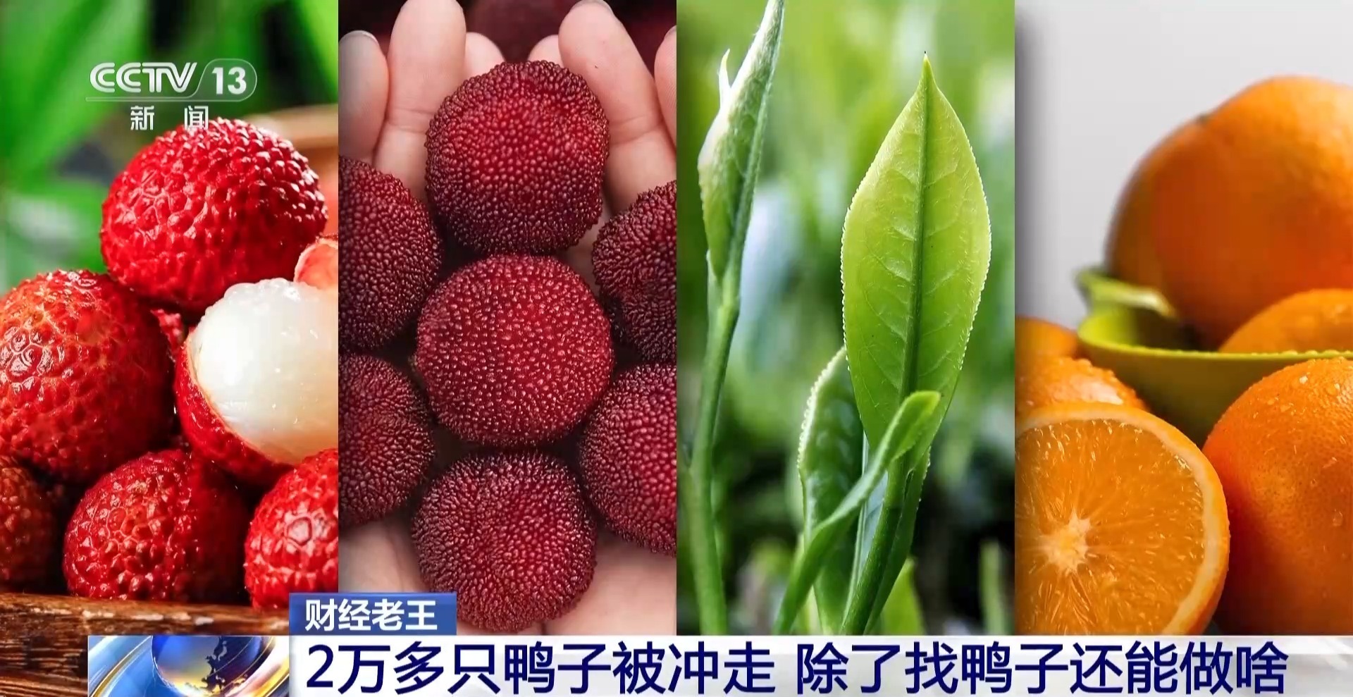 鸭子被冲走、虾塘被淹……农业保险如何帮农户“兜底”? 鸭子被冲走、虾塘被淹……农业保险如何帮农户“兜底”?