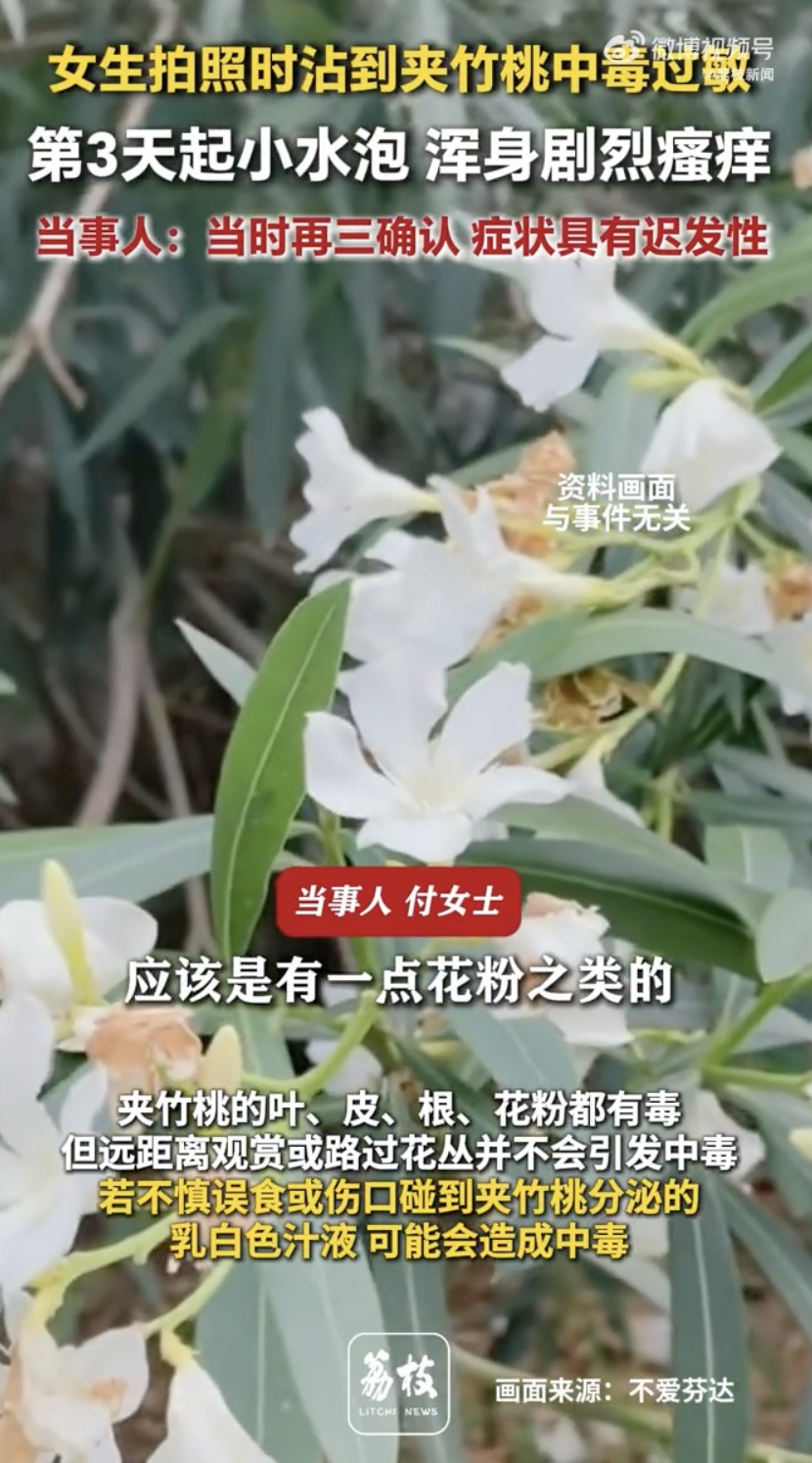 女子嘴含“网红花”拍照后中毒，紧急提醒：别乱摘乱碰