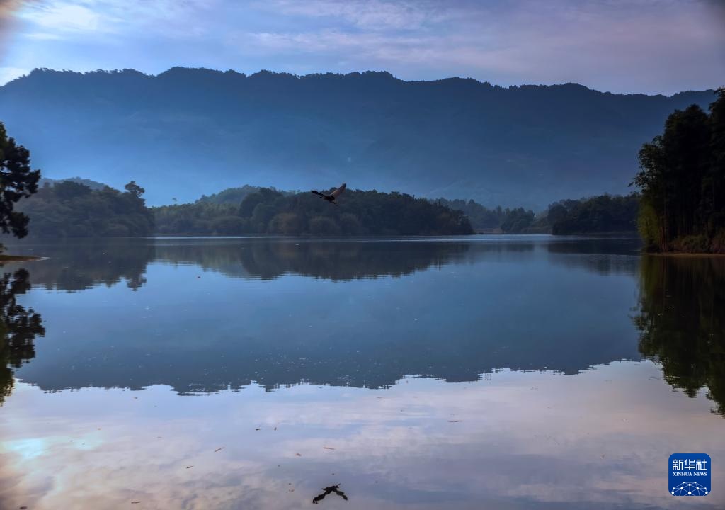 重庆大足:水清岛绿鸟翩跹 重庆大足:水清岛绿鸟翩跹