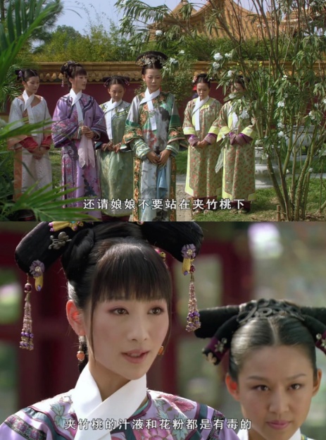 女子嘴含“网红花”拍照后中毒，紧急提醒：别乱摘乱碰