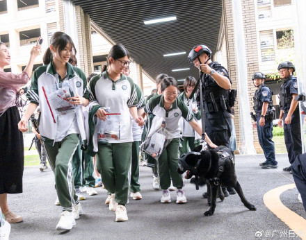 汪汪队已加入送考阵容 汪汪队已加入送考阵容